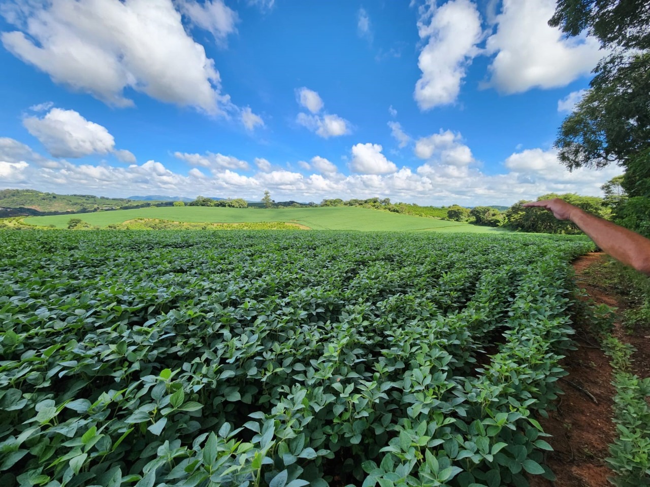 Chácara à venda com 3 quartos, 784500m² - Foto 5