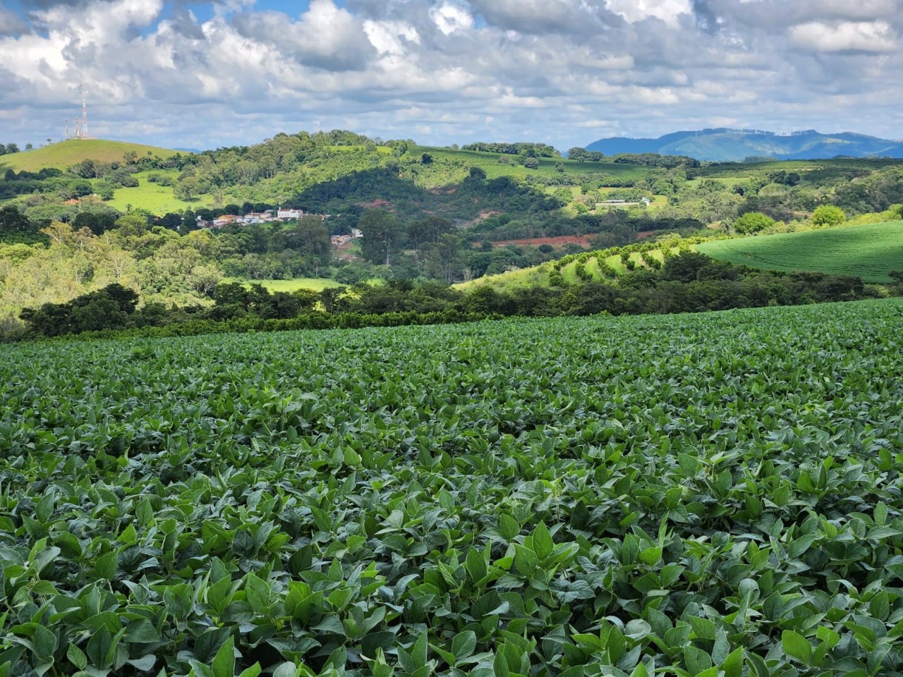 Chácara à venda com 3 quartos, 784500m² - Foto 7