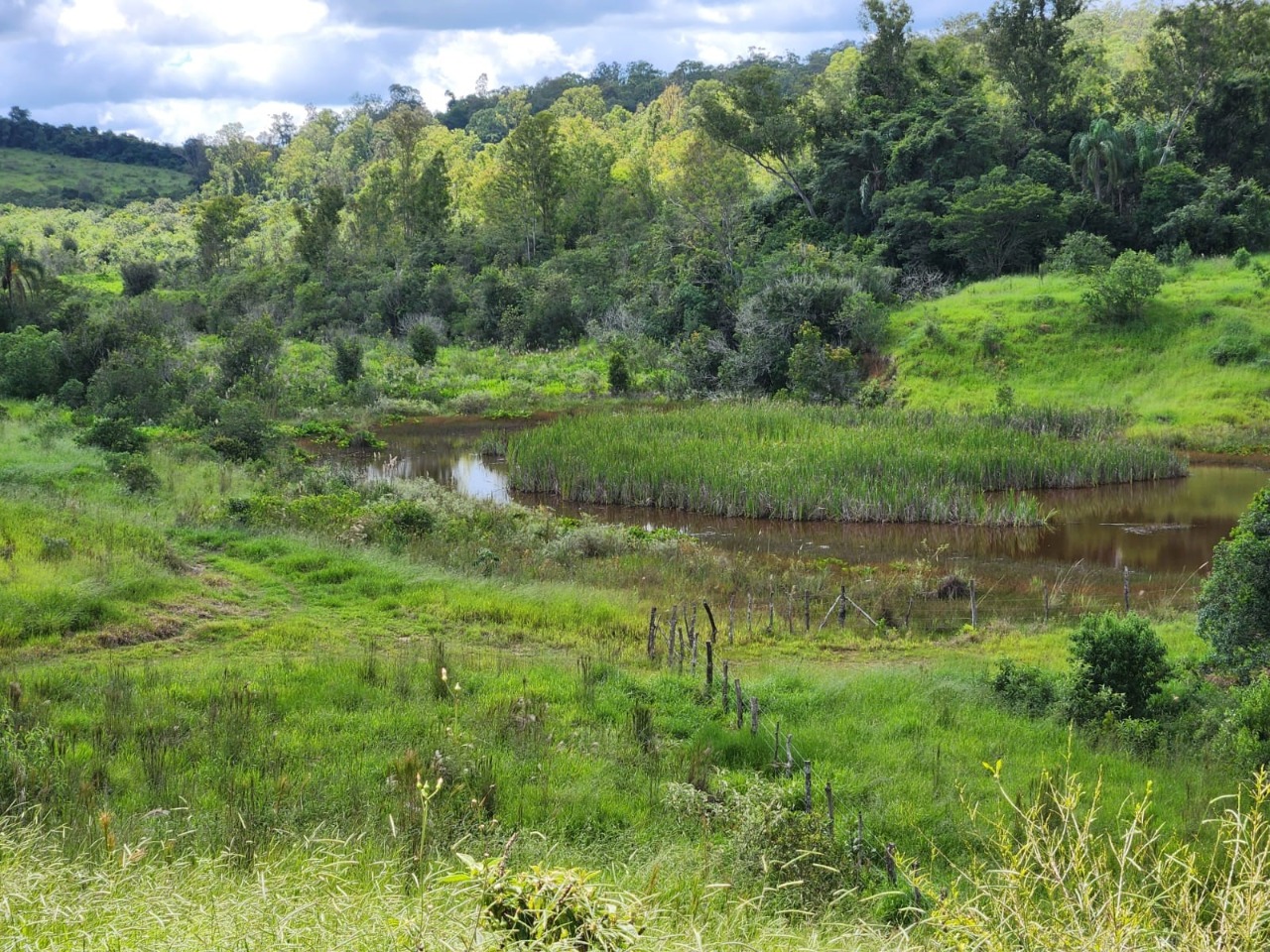 Chácara à venda com 3 quartos, 784500m² - Foto 8