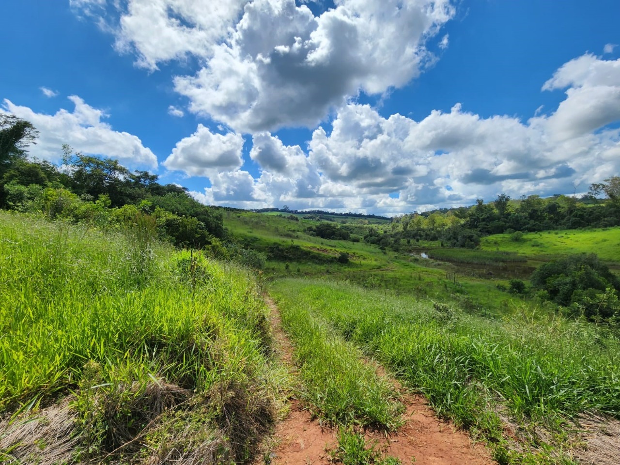 Chácara à venda com 3 quartos, 784500m² - Foto 9