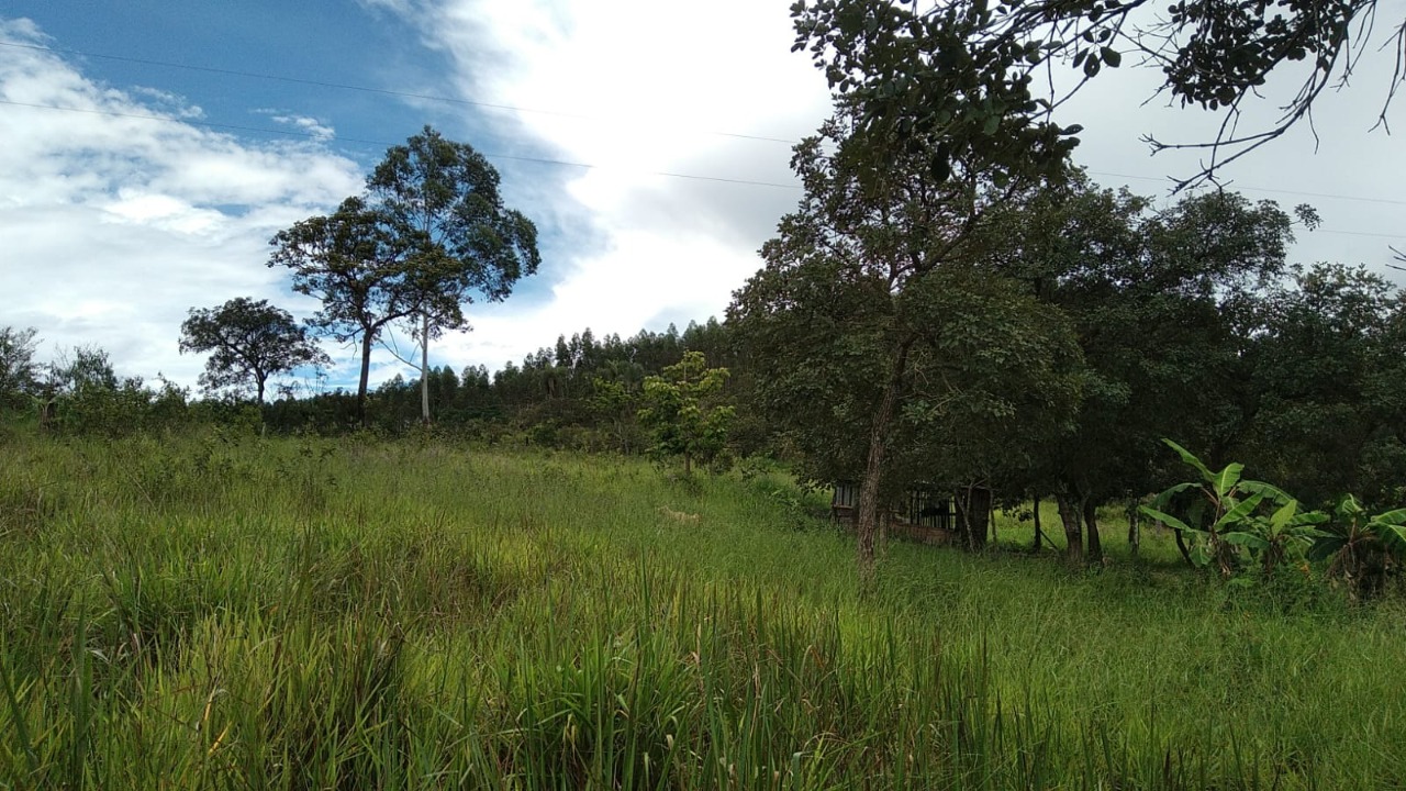 Terreno à venda, 10000m² - Foto 1