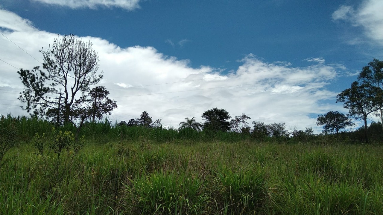 Terreno à venda, 10000m² - Foto 2