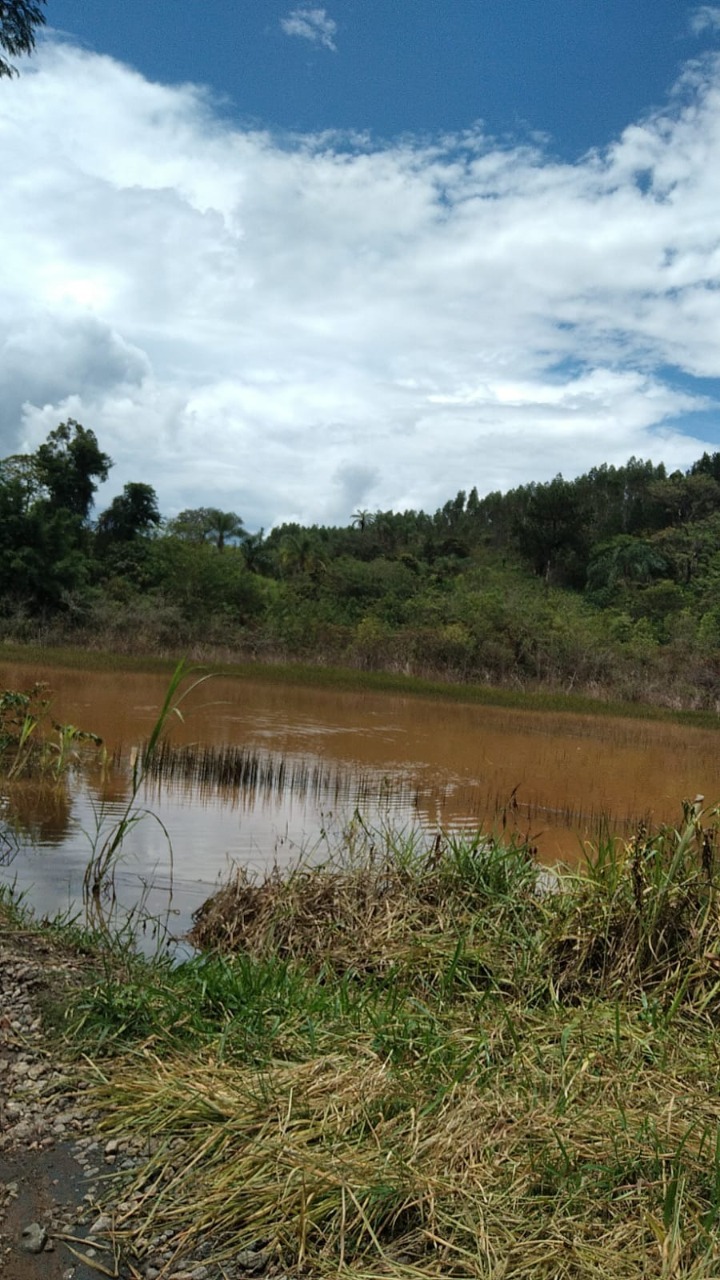 Terreno à venda, 10000m² - Foto 3