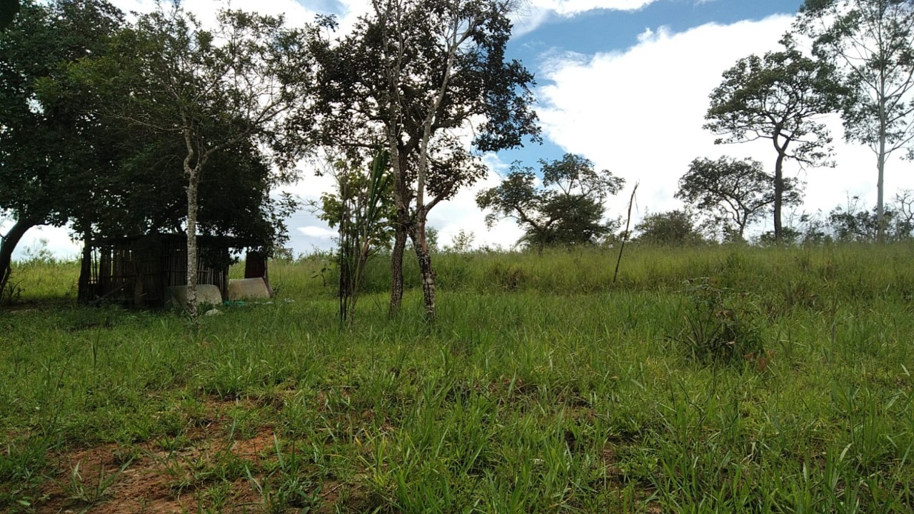 Terreno à venda, 10000m² - Foto 4