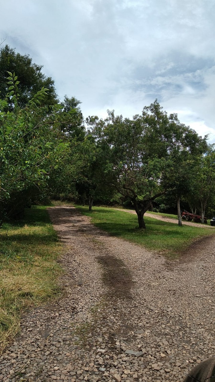 Terreno à venda, 10000m² - Foto 5