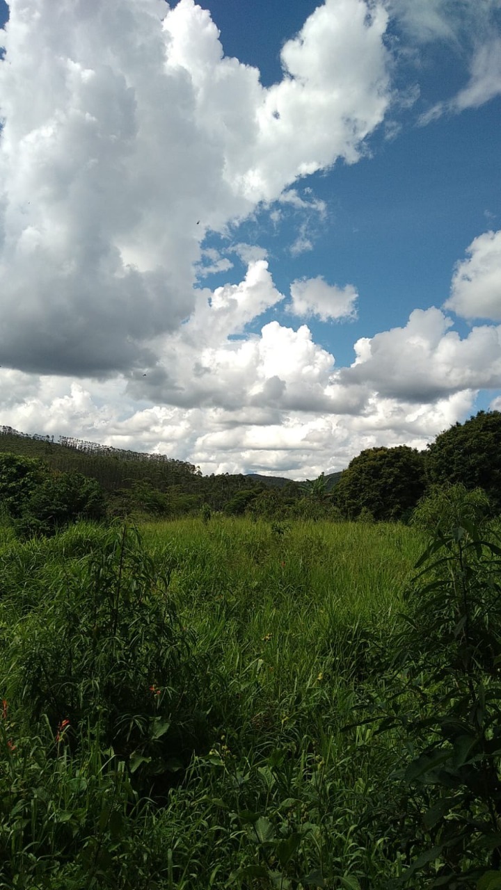 Terreno à venda, 10000m² - Foto 7