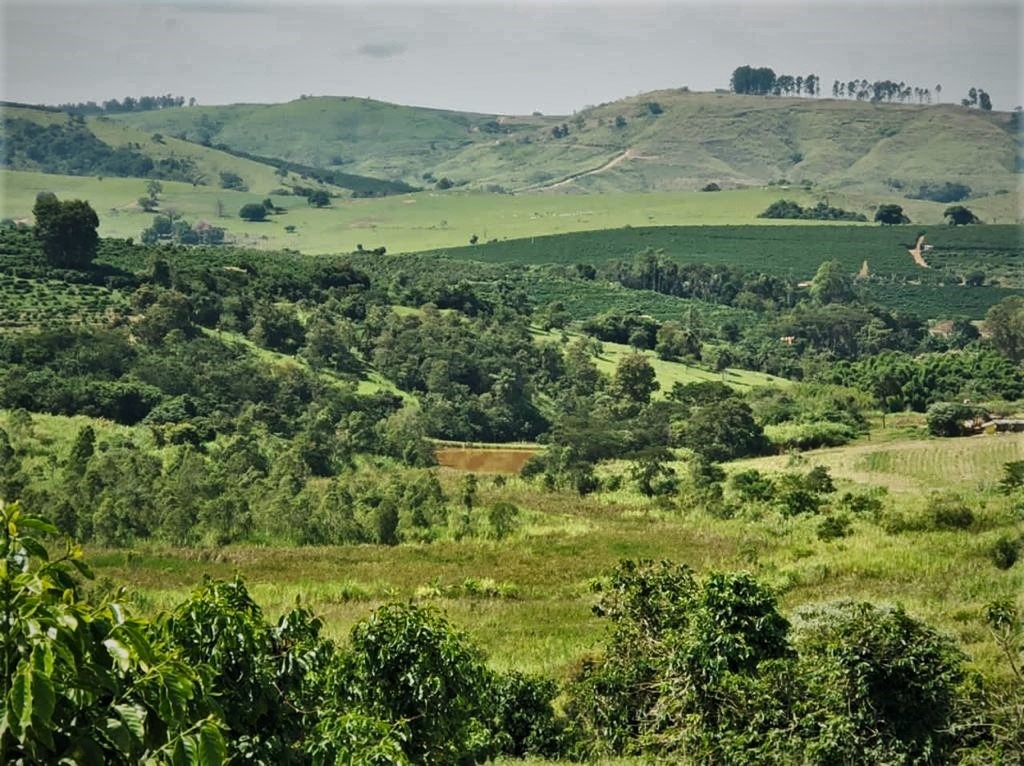 Chácara à venda com 3 quartos - Foto 10