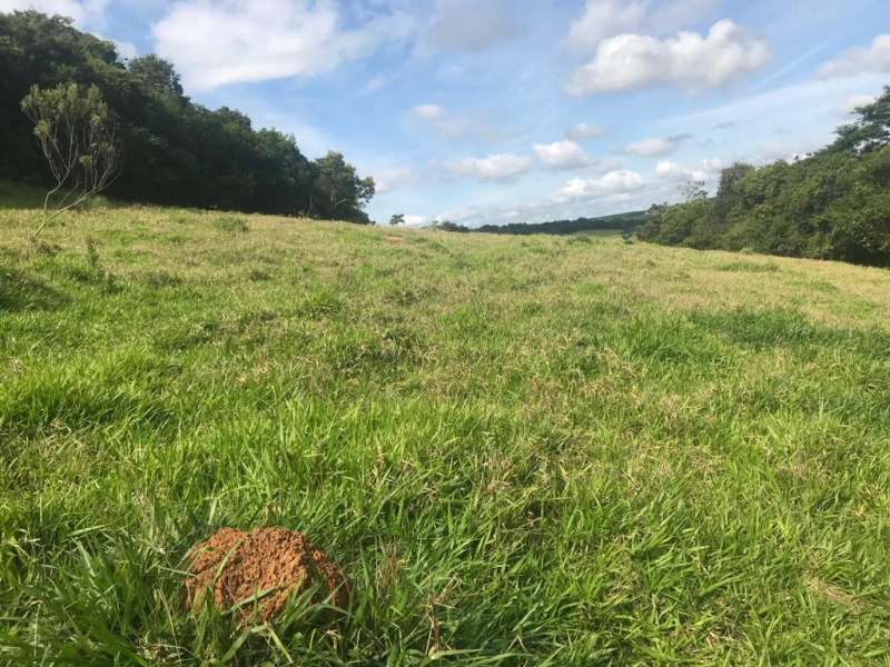 Chácara à venda com 1 quarto, 70000m² - Foto 5