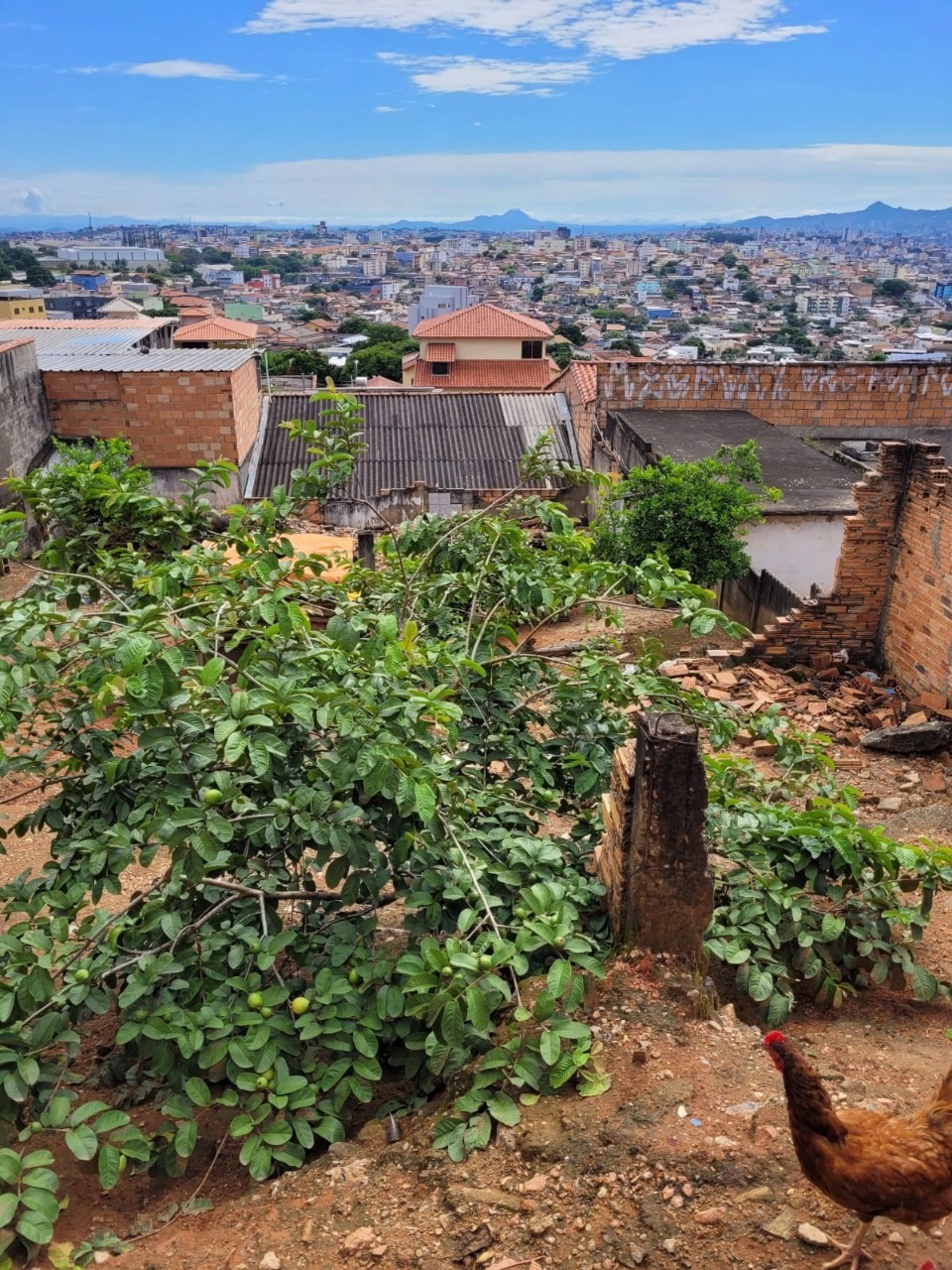 Terreno à venda, 360m² - Foto 4