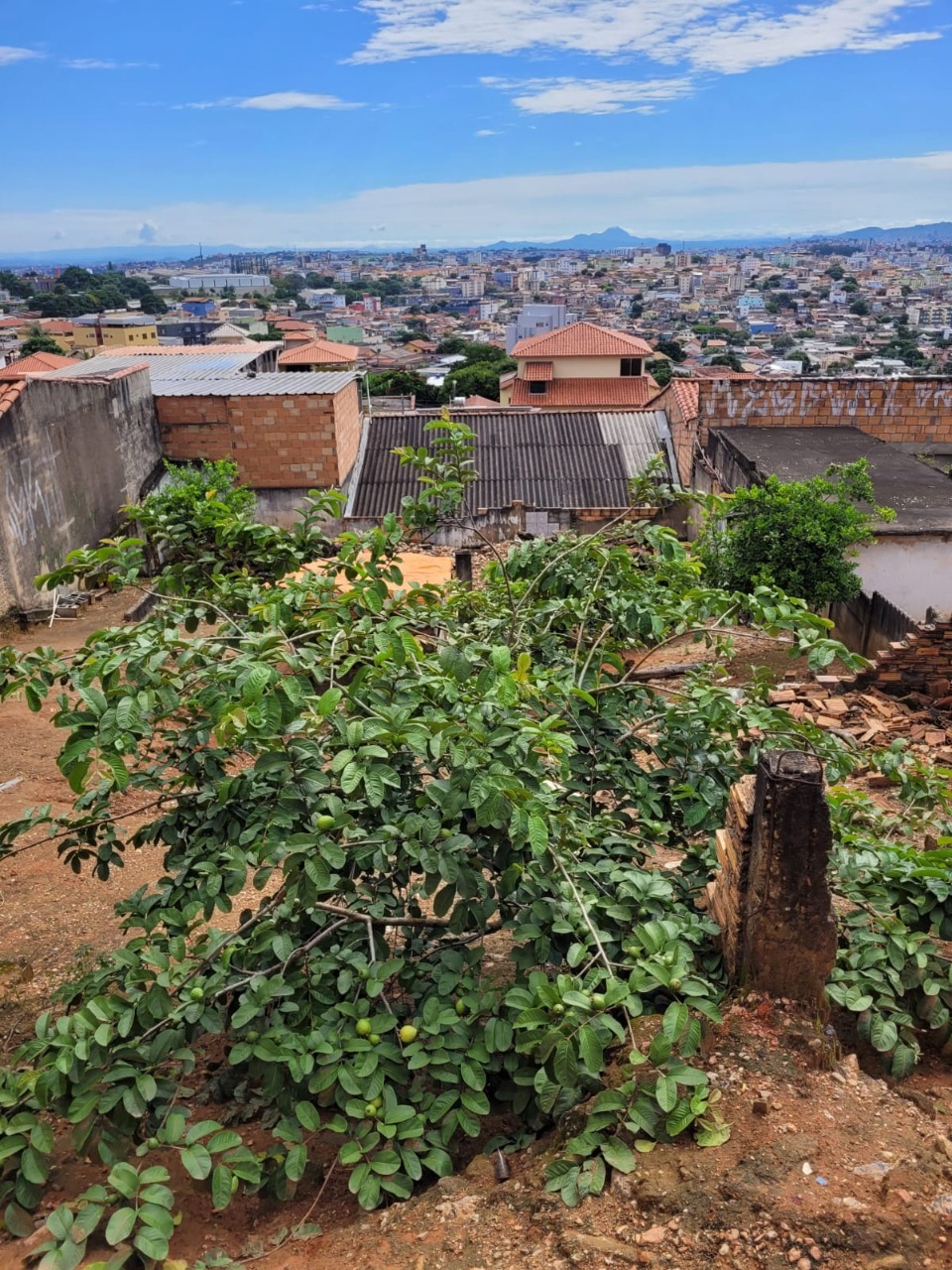 Terreno à venda, 360m² - Foto 12