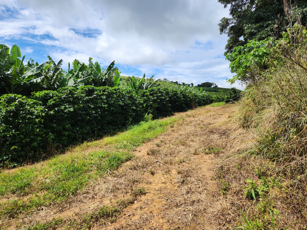 Chácara à venda com 4 quartos, 847000m² - Foto 8