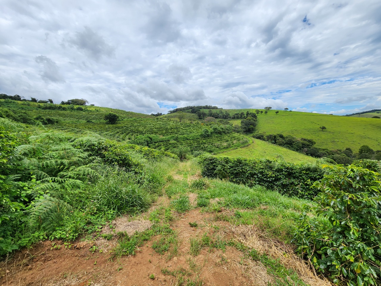 Chácara à venda com 4 quartos, 847000m² - Foto 17