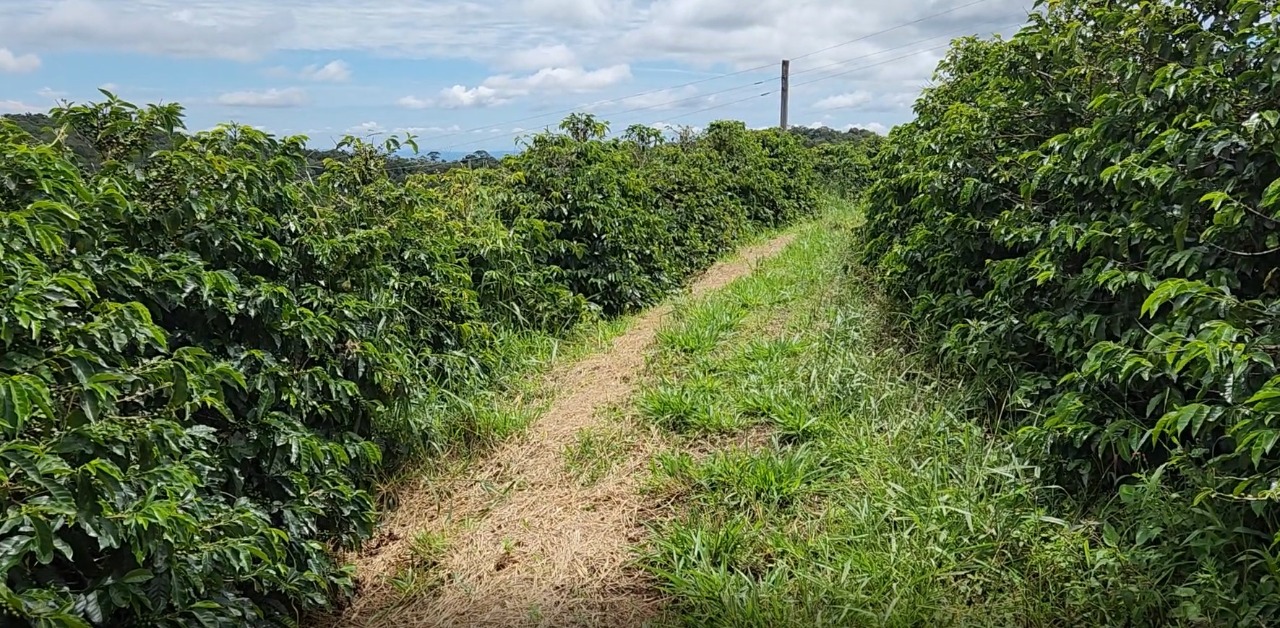 Chácara à venda com 4 quartos, 847000m² - Foto 9