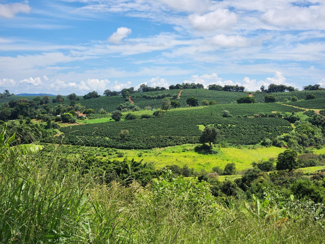 Chácara à venda com 3 quartos, 640000m² - Foto 4