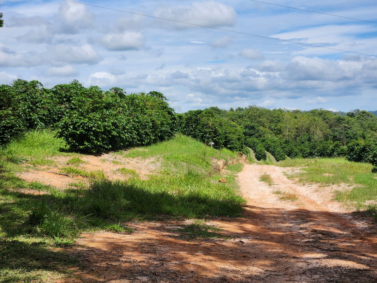 Chácara à venda com 3 quartos, 640000m² - Foto 6