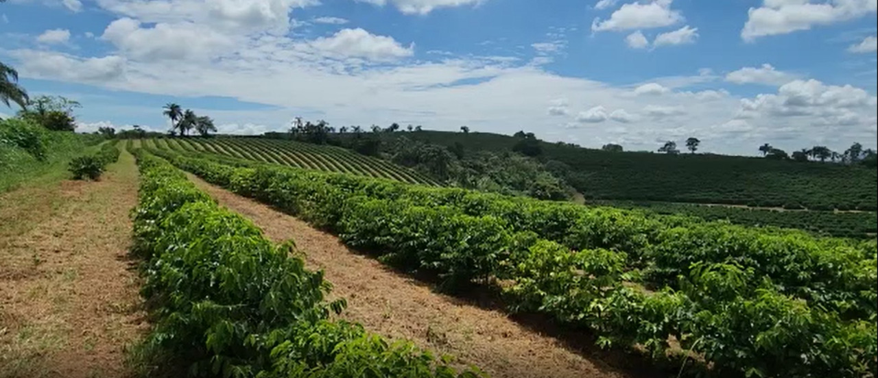 Chácara à venda com 3 quartos, 640000m² - Foto 2