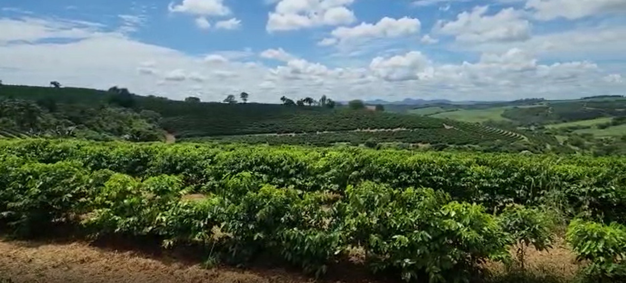 Chácara à venda com 3 quartos, 640000m² - Foto 3