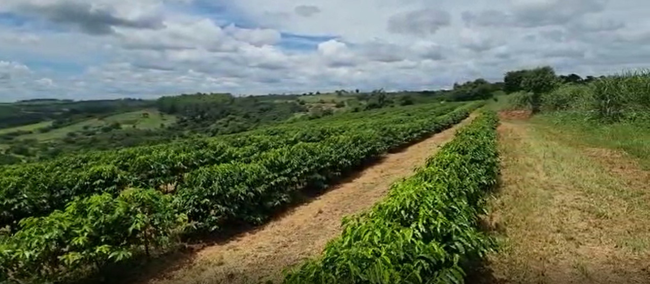 Chácara à venda com 3 quartos, 640000m² - Foto 5