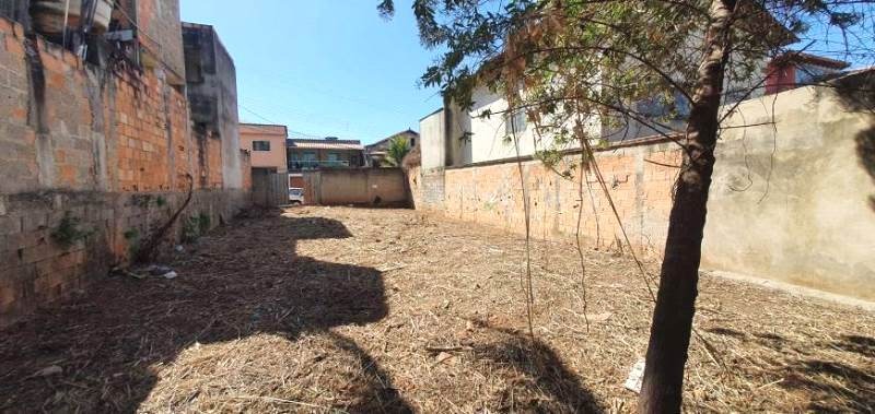 Terreno à venda, 250m² - Foto 2