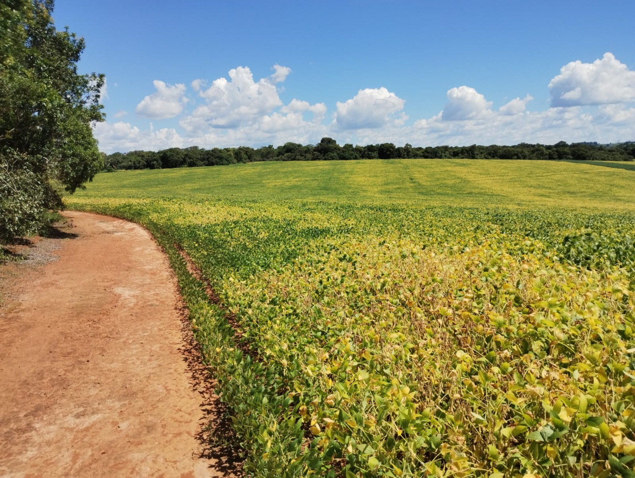 Chácara à venda com 1 quarto, 2120000m² - Foto 3