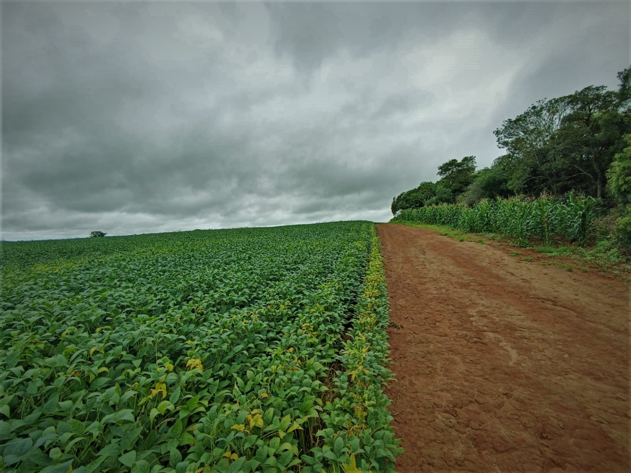 Chácara à venda com 1 quarto, 2120000m² - Foto 4