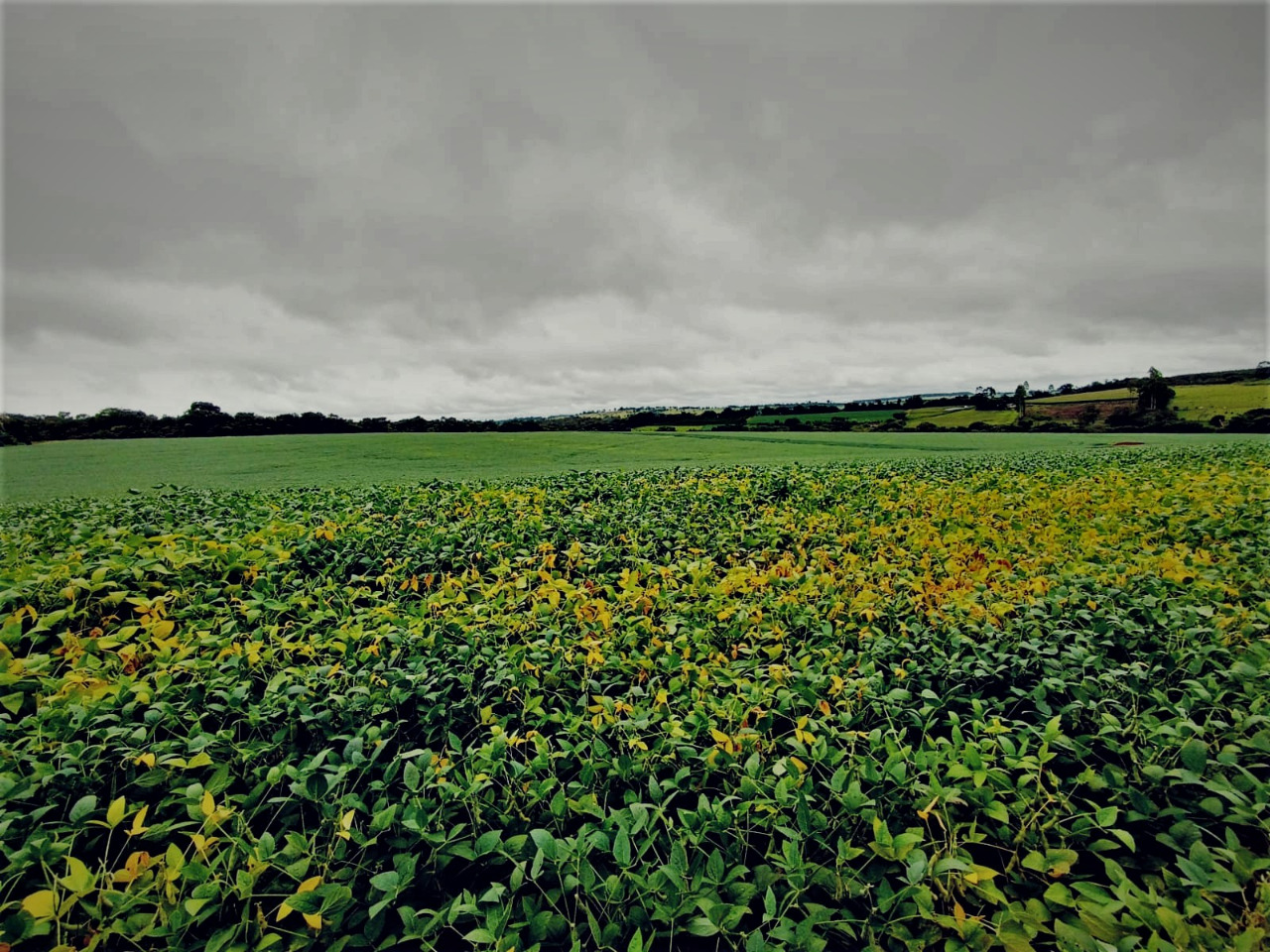 Chácara à venda com 1 quarto, 2120000m² - Foto 2