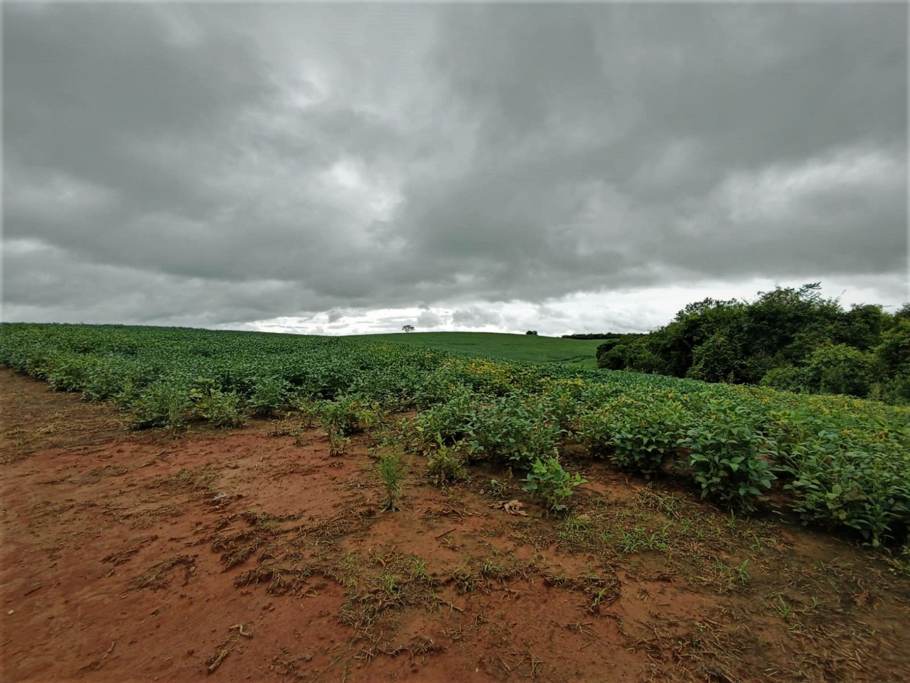 Chácara à venda com 1 quarto, 2120000m² - Foto 5