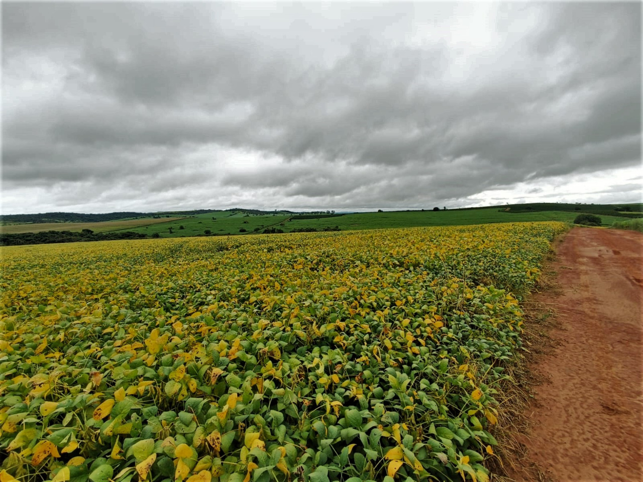 Chácara à venda com 1 quarto, 2120000m² - Foto 6