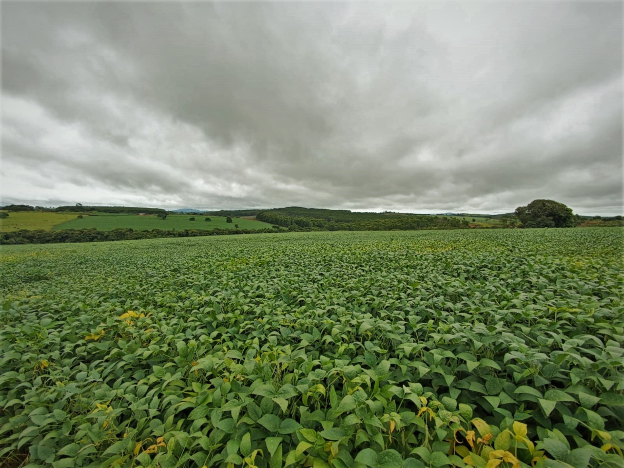 Chácara à venda com 1 quarto, 2120000m² - Foto 7