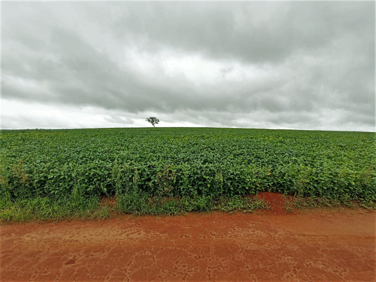 Chácara à venda com 1 quarto, 2120000m² - Foto 8