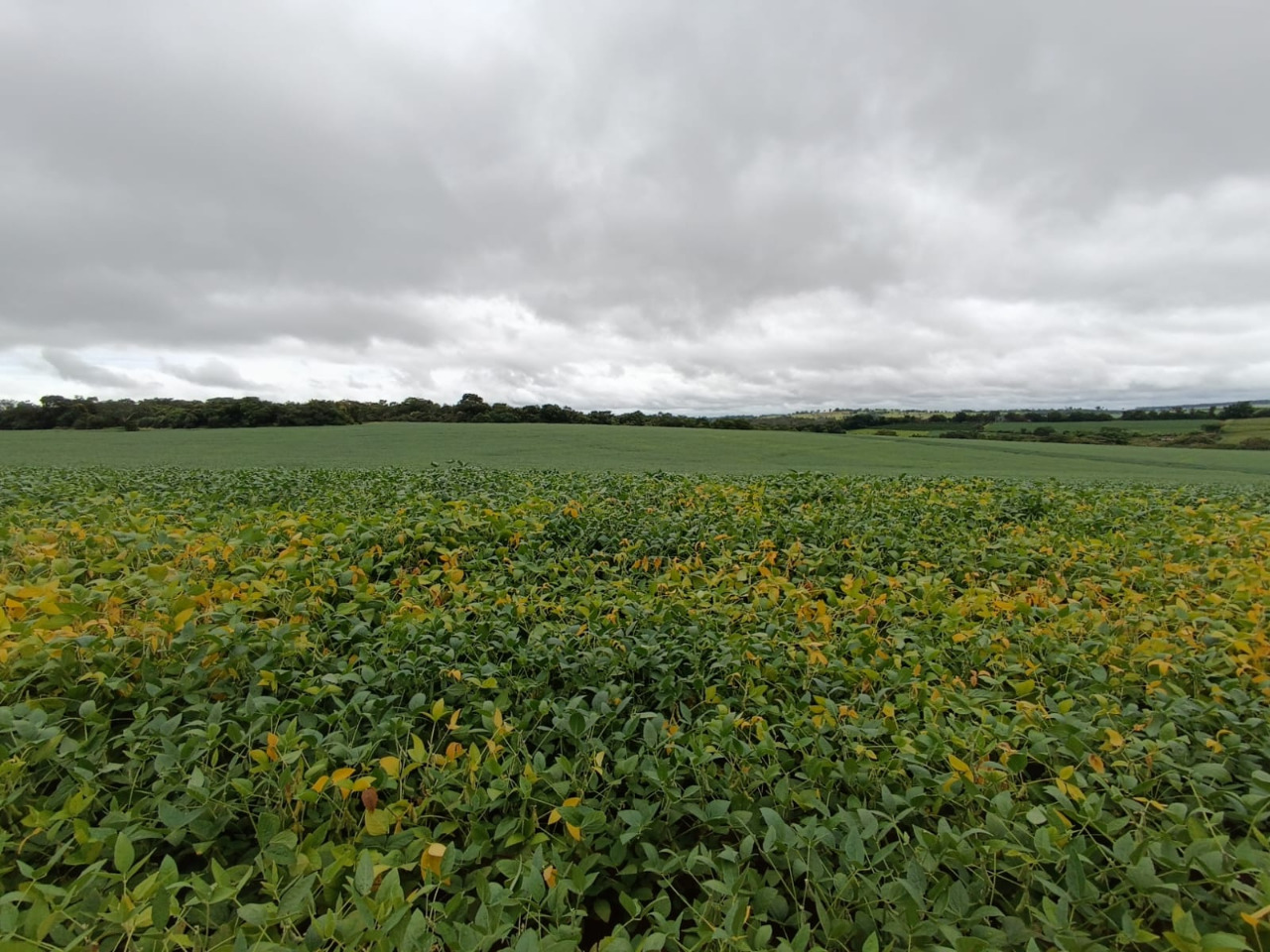 Chácara à venda com 1 quarto, 2120000m² - Foto 12