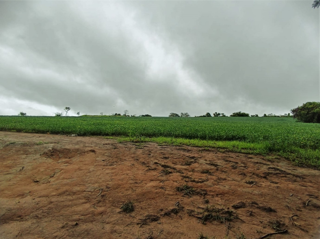 Chácara à venda com 1 quarto, 2120000m² - Foto 13