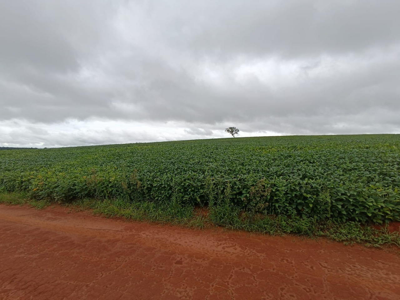 Chácara à venda com 1 quarto, 2120000m² - Foto 14