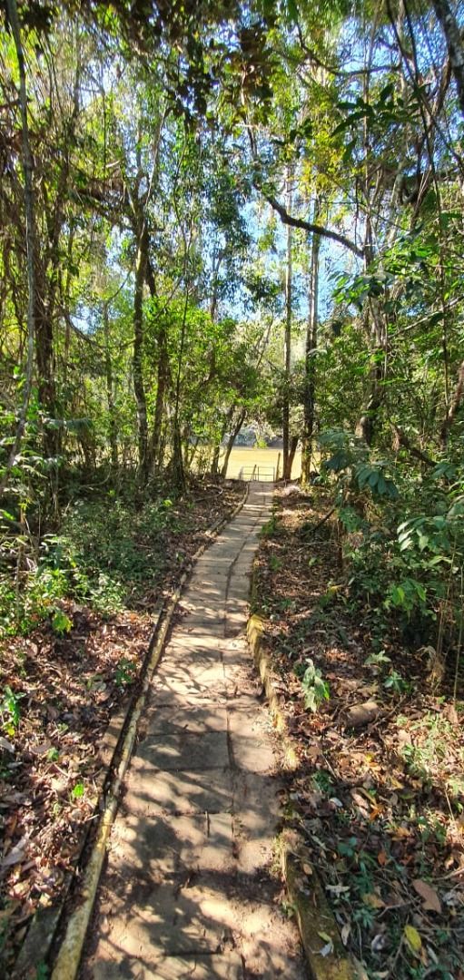 Terreno à venda, 30000m² - Foto 11