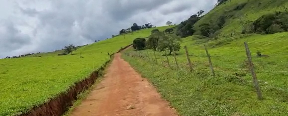 Chácara, 4 quartos, 320 hectares - Foto 3