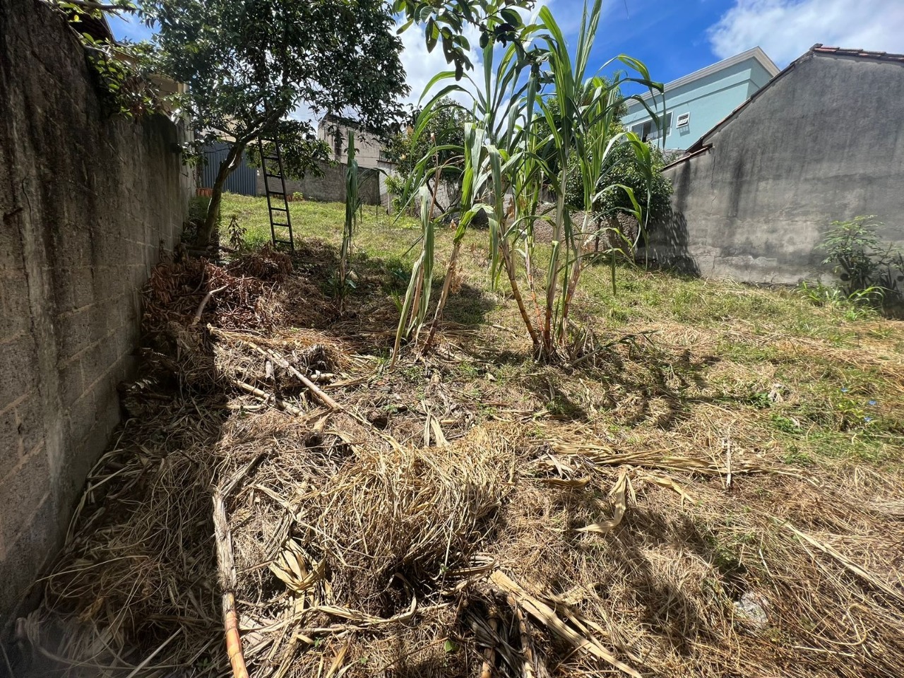 Terreno à venda, 360m² - Foto 6