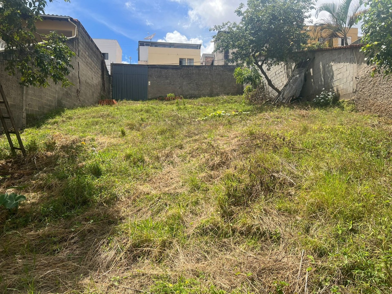 Terreno à venda, 360m² - Foto 2