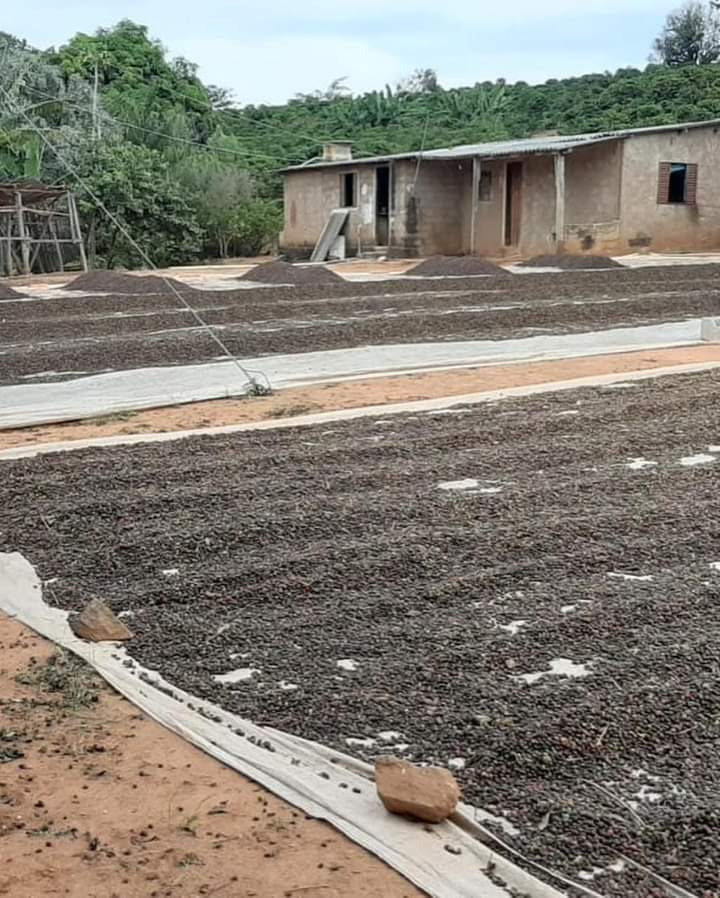 Chácara à venda com 3 quartos, 240000m² - Foto 9