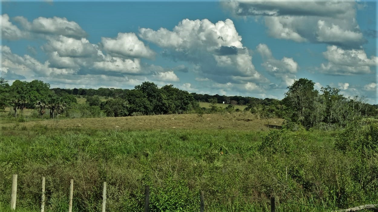 Chácara à venda com 3 quartos, 2060000m² - Foto 4