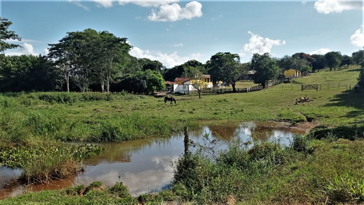 Chácara à venda com 3 quartos, 2060000m² - Foto 9