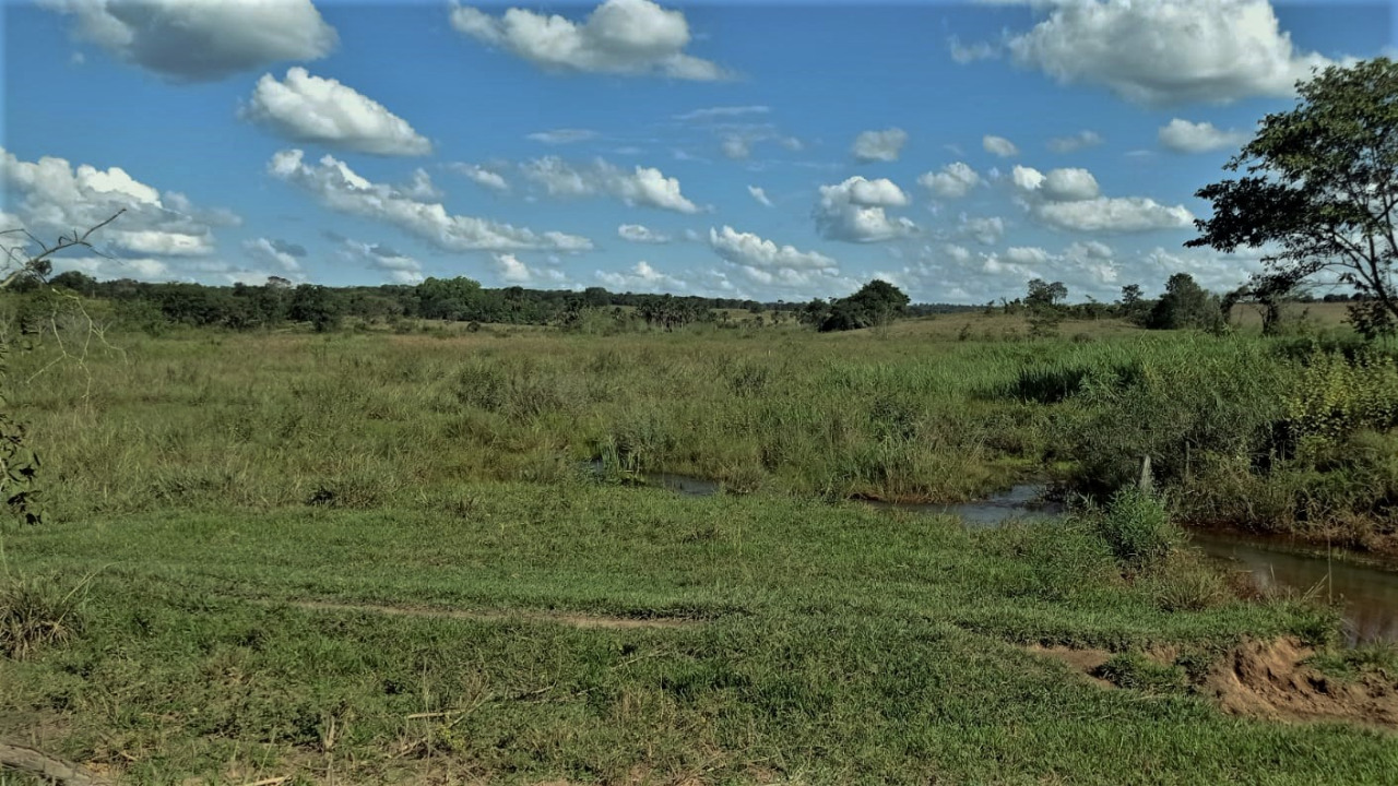 Chácara à venda com 3 quartos, 2060000m² - Foto 2