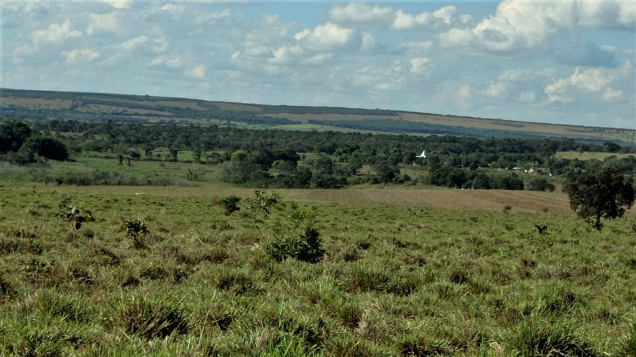 Chácara à venda com 3 quartos, 2060000m² - Foto 1