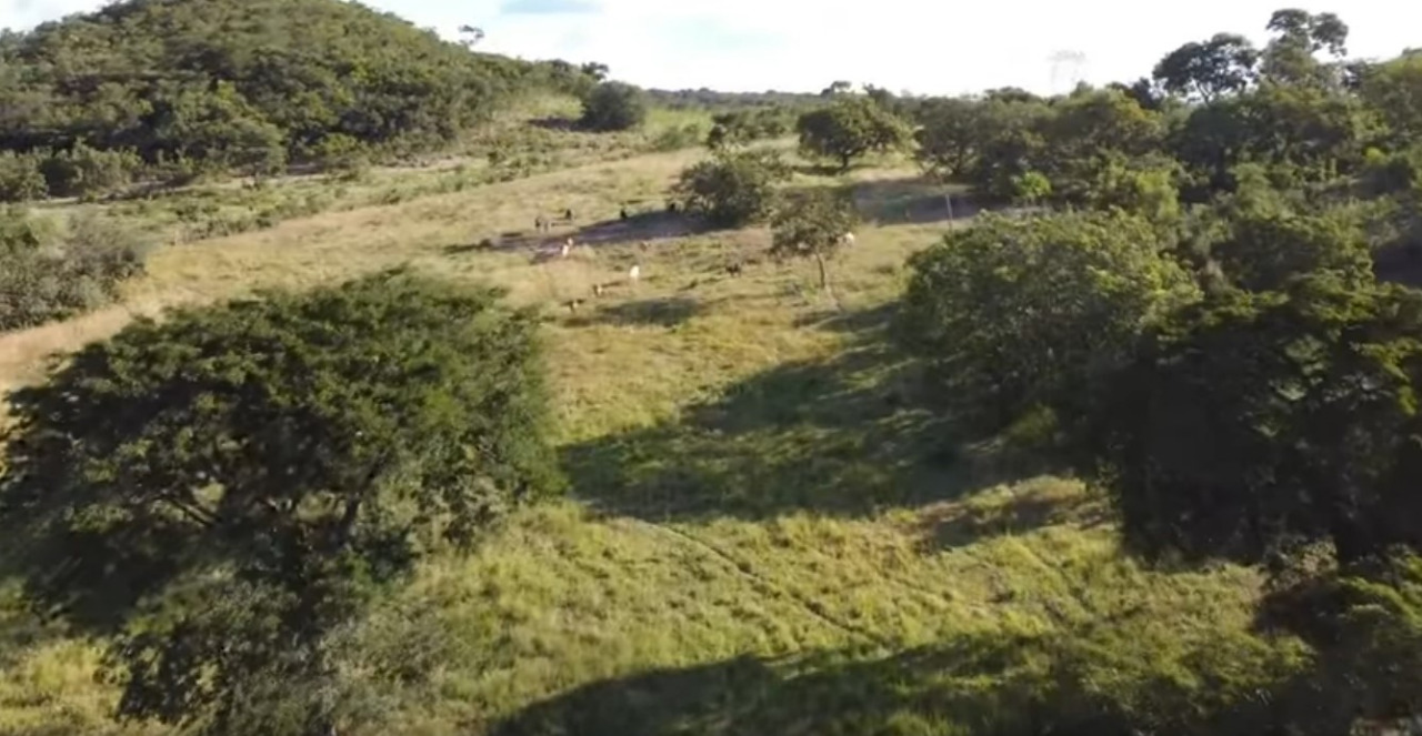 Chácara, 4 quartos, 590 hectares - Foto 4