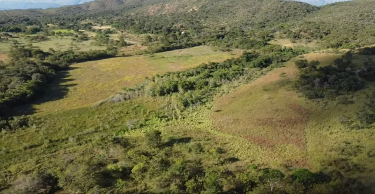 Chácara à venda com 4 quartos, 5900000m² - Foto 6