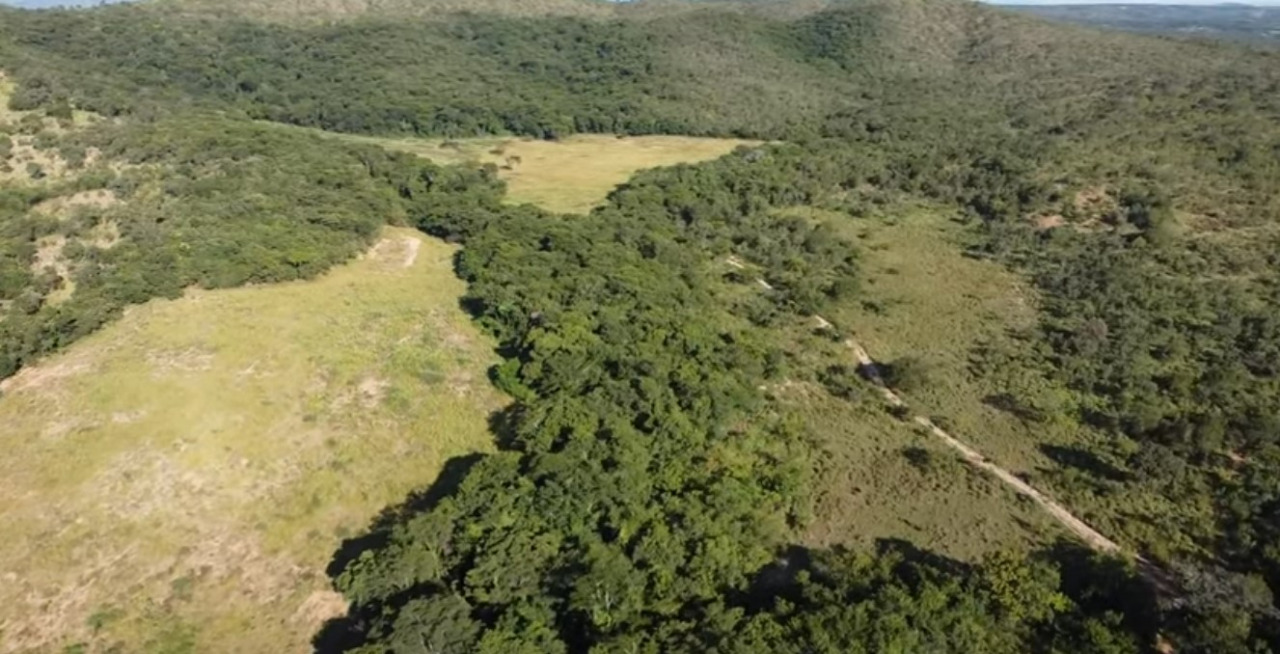 Chácara à venda com 4 quartos, 5900000m² - Foto 8