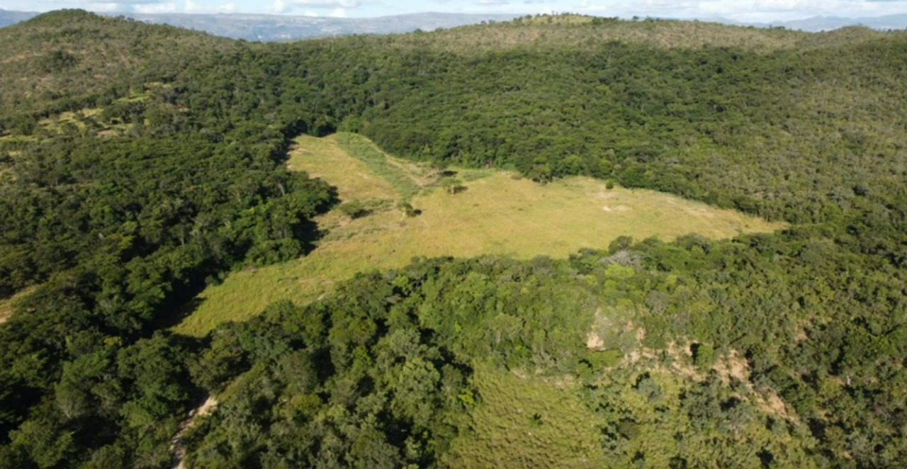 Chácara à venda com 4 quartos, 5900000m² - Foto 9