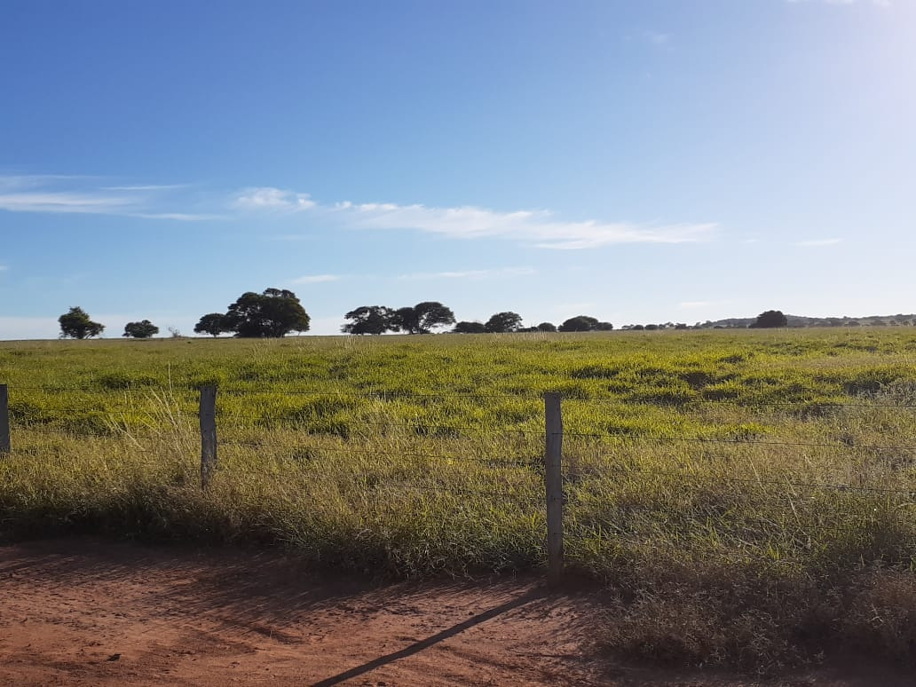 Chácara à venda com 4 quartos, 21900000m² - Foto 5