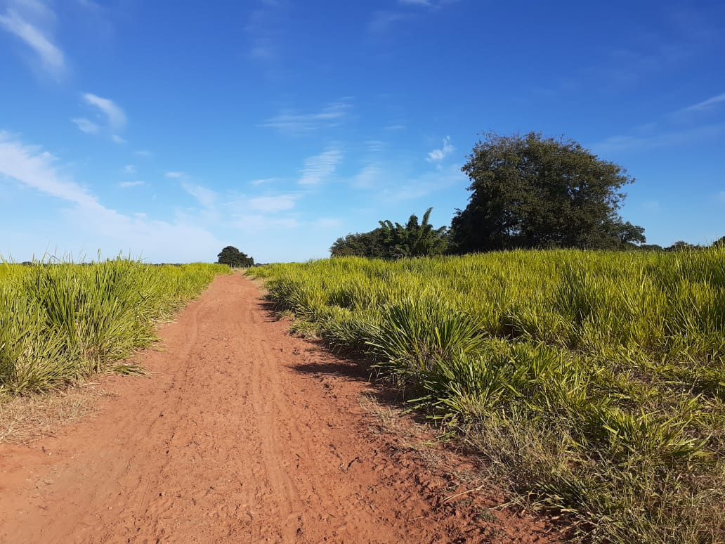 Chácara à venda com 4 quartos, 21900000m² - Foto 11