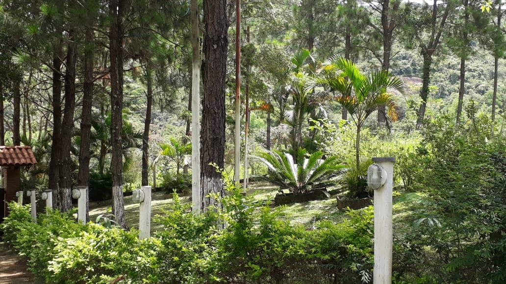 Chácara à venda com 3 quartos, 3000m² - Foto 8