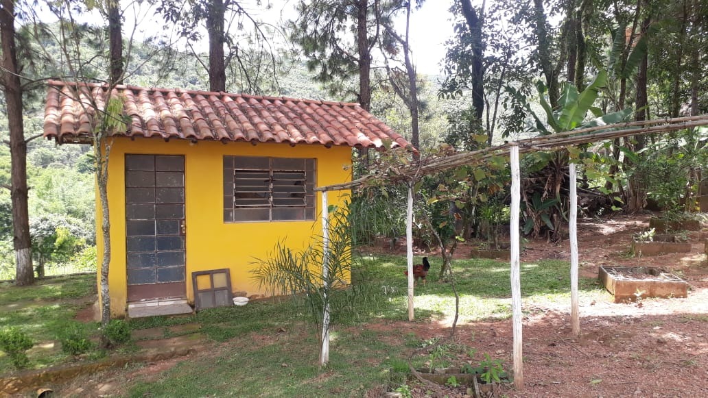 Chácara à venda com 3 quartos, 3000m² - Foto 20